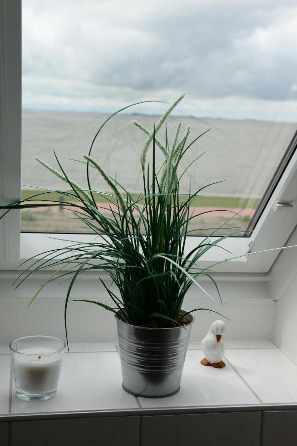 Jensen-Huus Apartment Dagebull Bagian luar foto